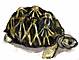 Radiata Turtle - Madagascar 2001